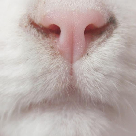 Meet your Posher, 루씨 - Picture 1 of 1